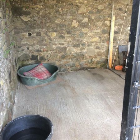 Tracey'S Farmhouse Cottage 贝尔法斯特 外观 照片