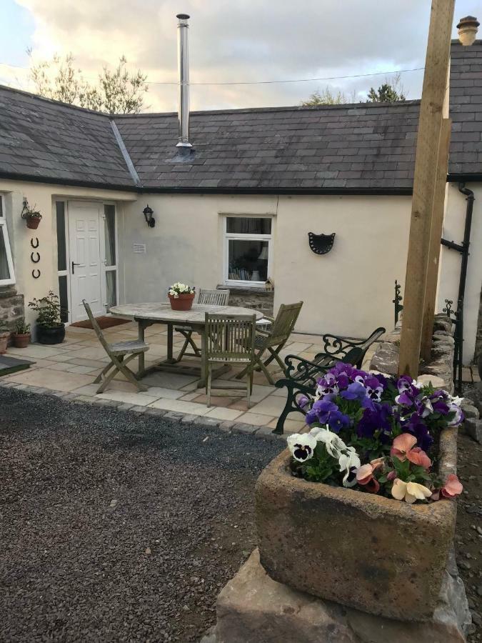 Tracey'S Farmhouse Cottage 贝尔法斯特 外观 照片